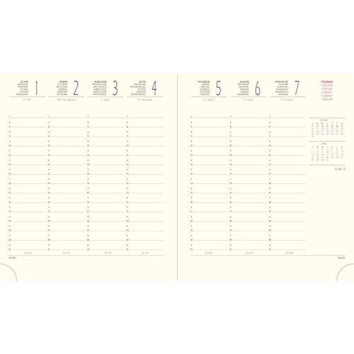 exacompta-eurotime-18-wochenkalender-bronze-17x15-cm-halbstundentakt image 7