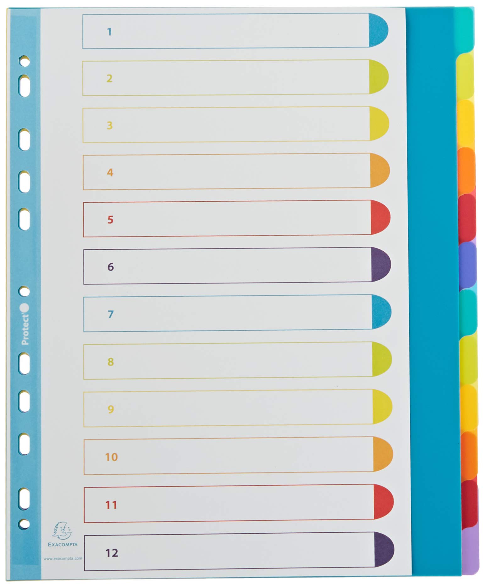 exacompta-europa-4812e-register-a4-maxi-12-teilig-bunt image 2