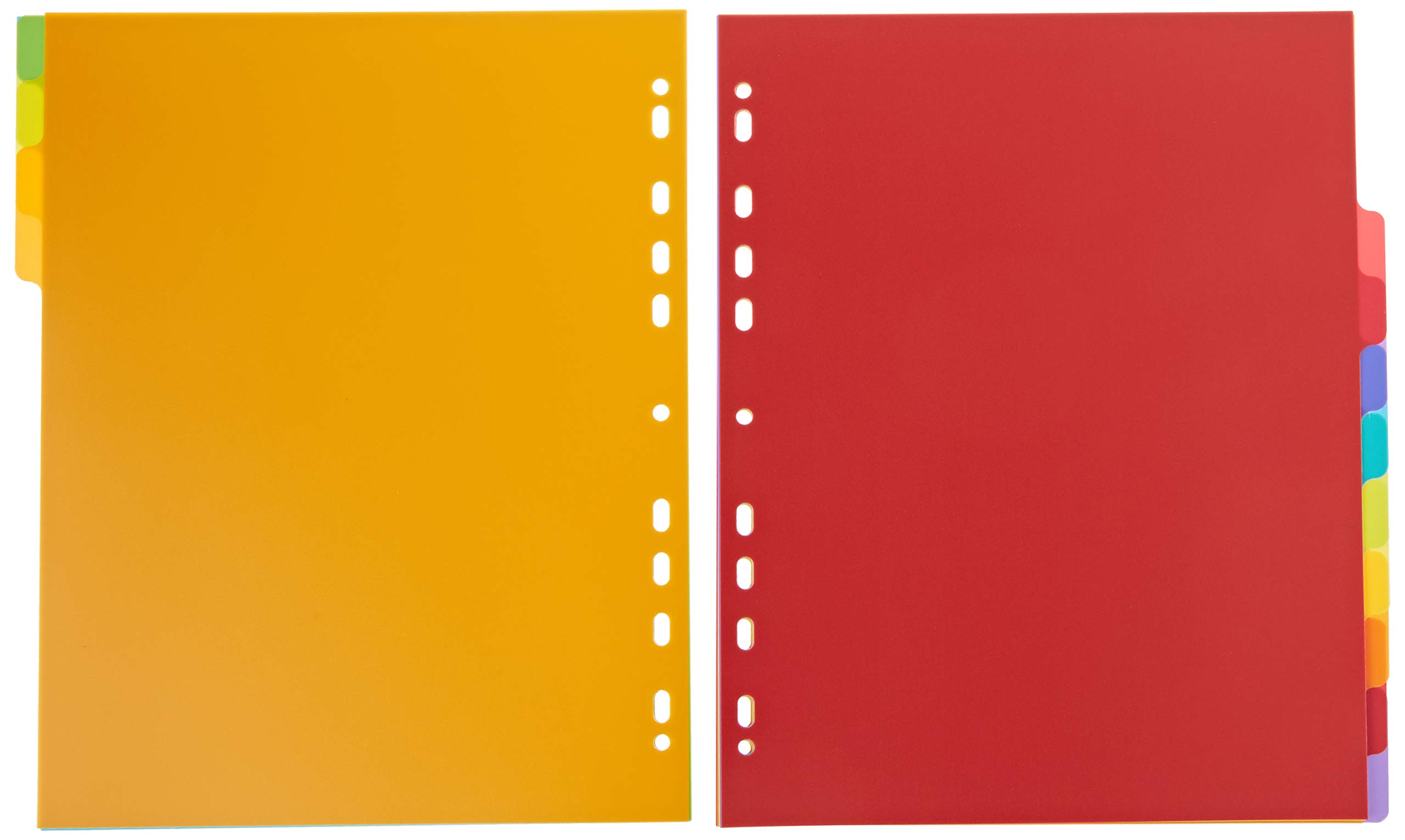 exacompta-europa-4812e-register-a4-maxi-12-teilig-bunt image 4