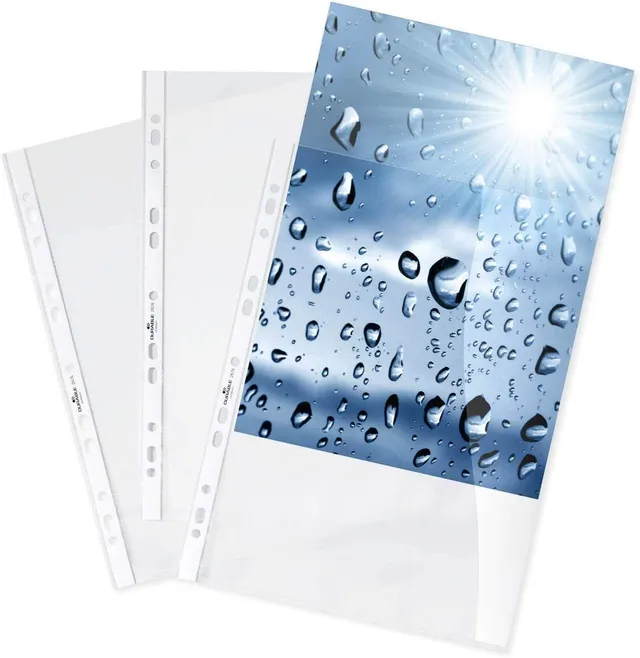 durable-duraquick-267619-prospekth-llen-a4-100-st-ck-glasklar image 1