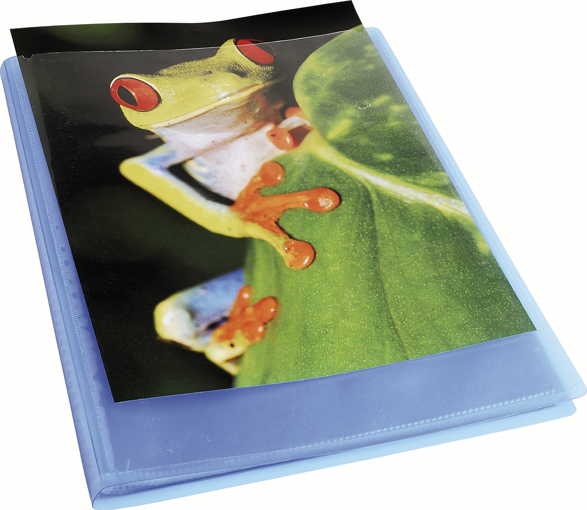 exacompta-chromaline-sichtmappe-a4-20-h-llen-blau image 3