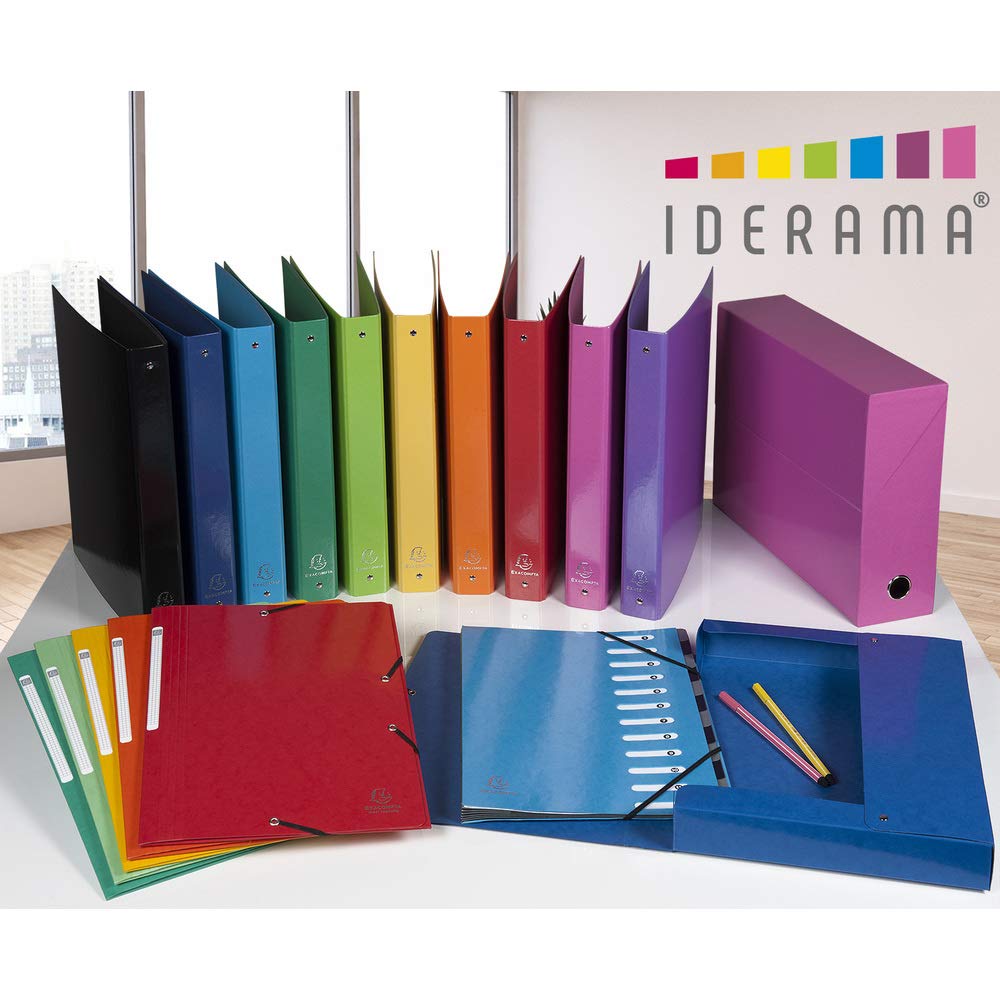 exacompta-iderama-89931e-archivbox-a4-wei-90-mm image 6